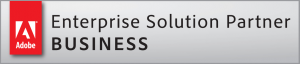 logo-adobe-enterprisesolutionpartner-300x64-1
